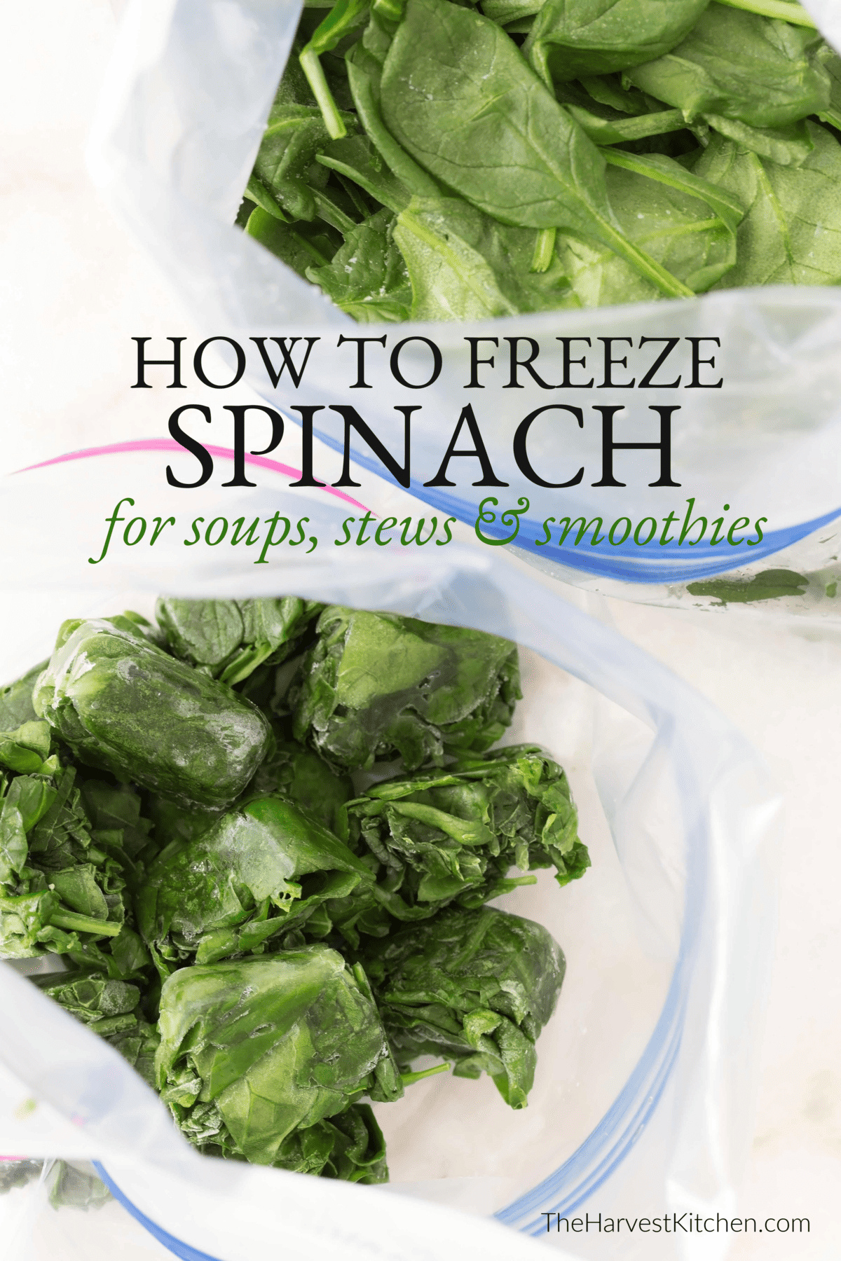 How to Freeze Spinach - The Harvest Kitchen