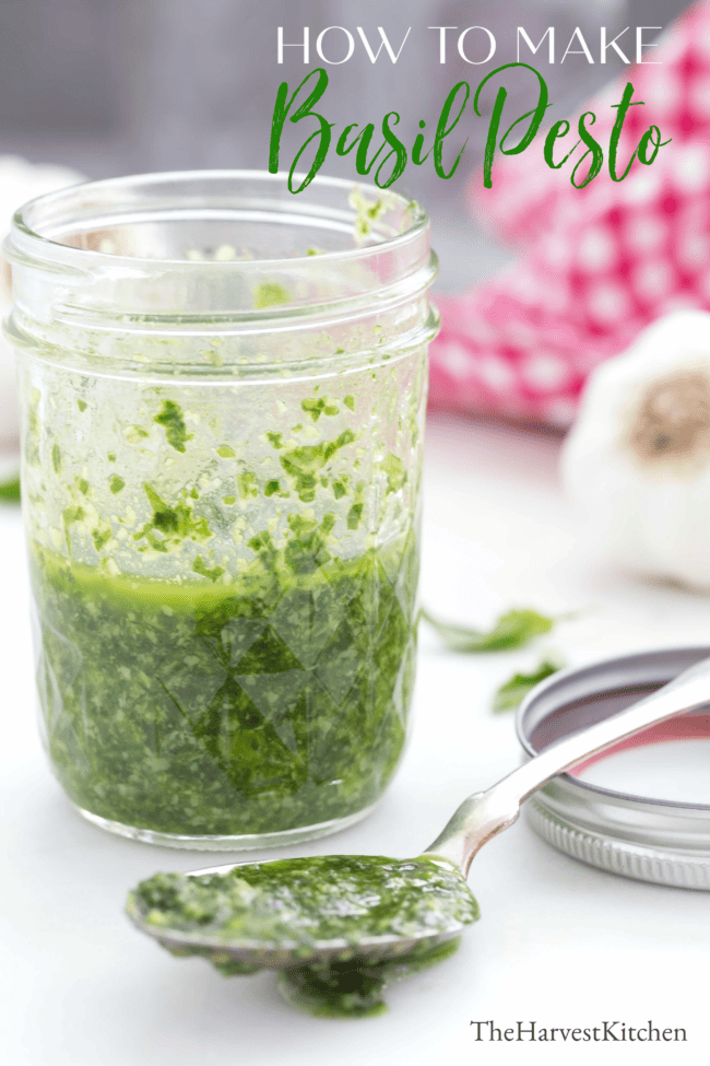 Learn How to Make Basil Pesto to spread on sandwiches, stir into soups, sauces and stews, toss with vegetables and add to salad dressings