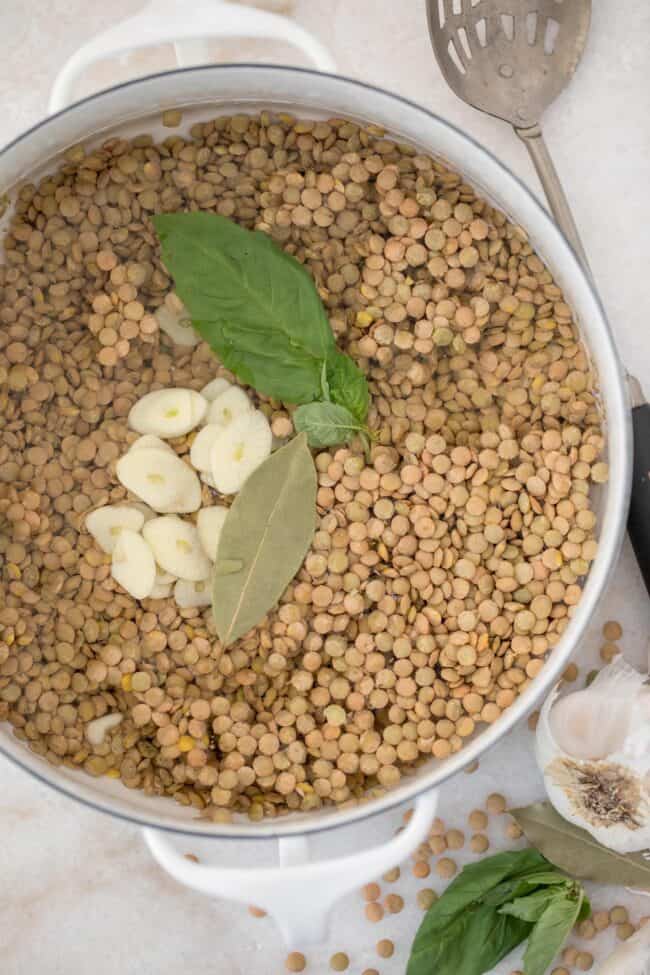 A white pot with dried lentils, water, garlic and fresh basil.