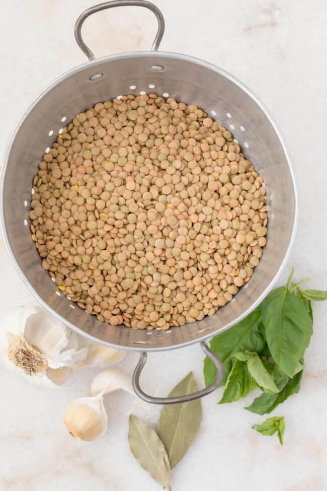 A metal colander filled with dried legumes.
