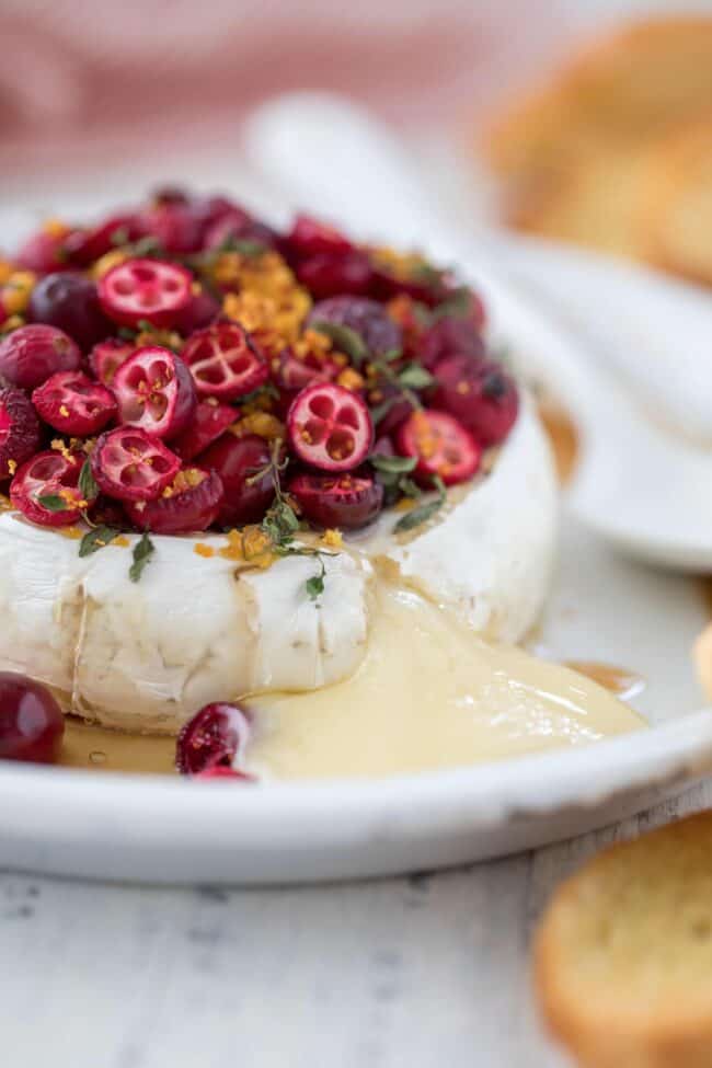 Melted Baked Brie Appetizer with cranberries on a white dish. Pieces of toast sit next to the dish.