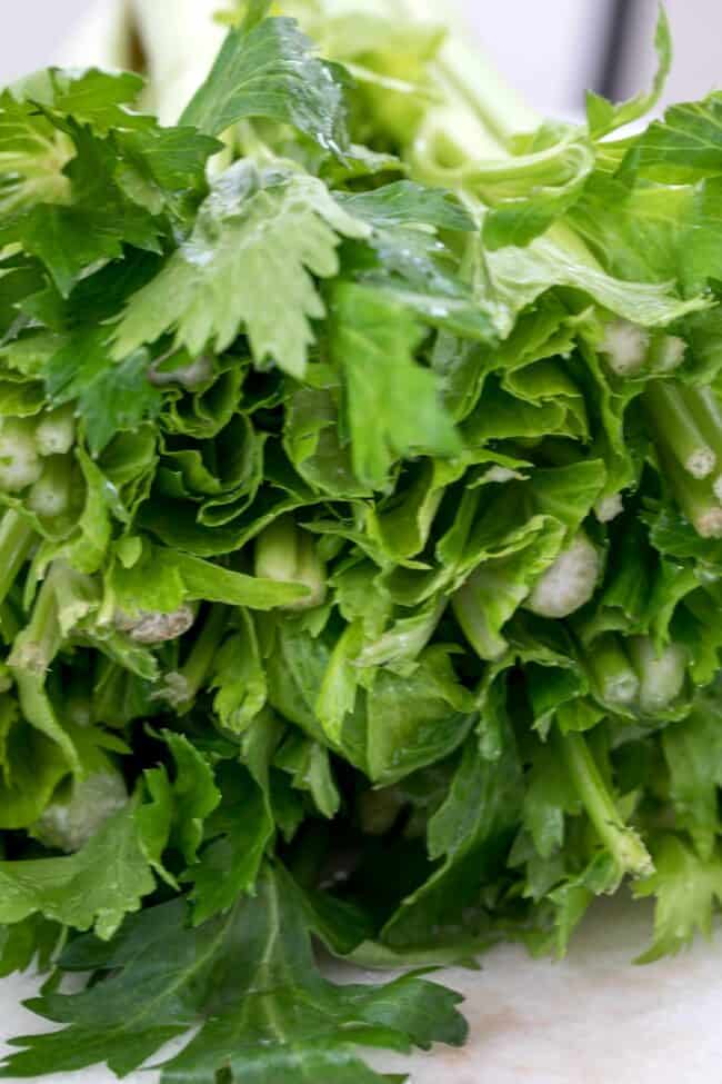 stalks of celery