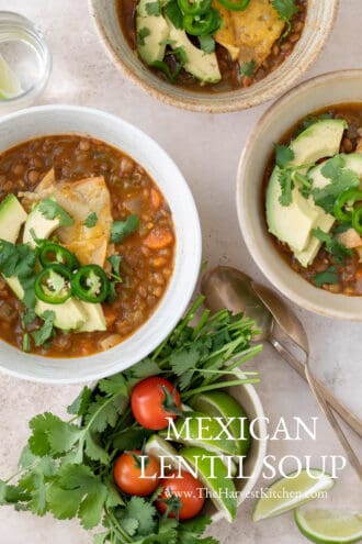 Mexican Lentil Soup - The Harvest Kitchen