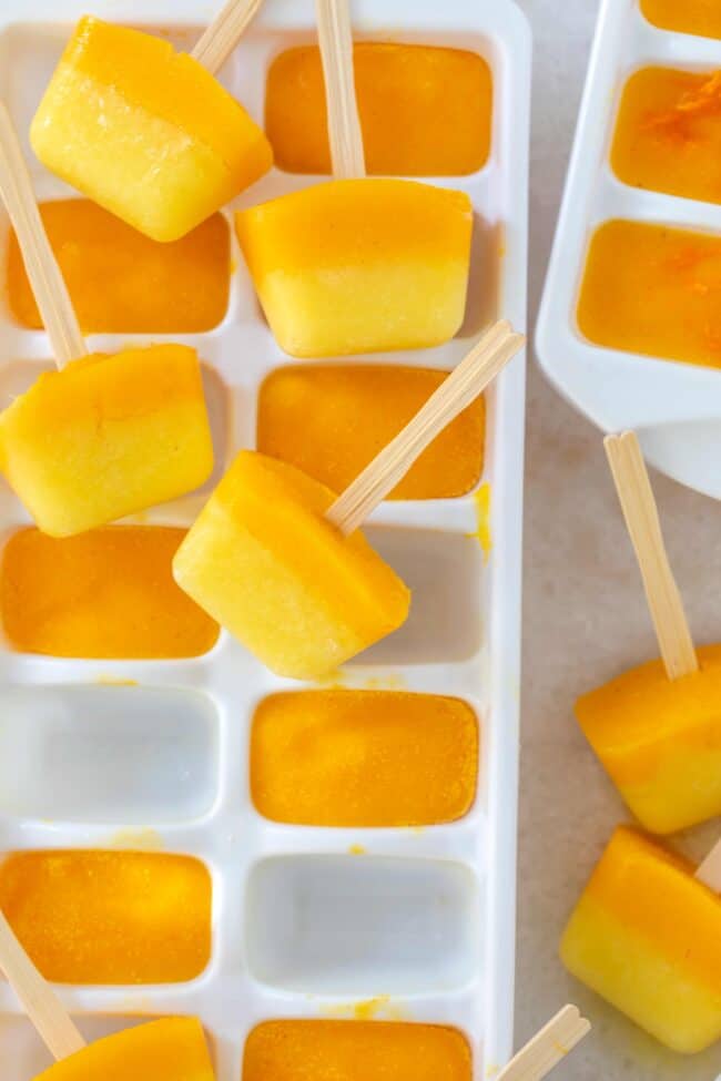 Two white trays filled with smoothie cubes.