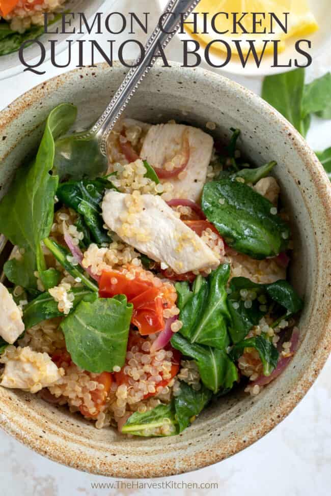 A brown bowl filled with chicken, quinoa and vegetables in lemon garlic butter sauce (for a chicken quinoa bowl)