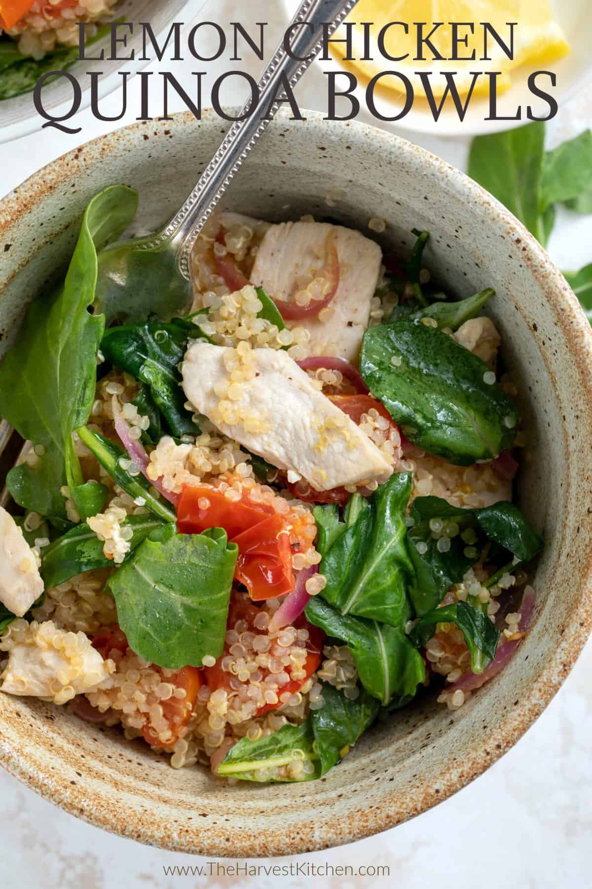 Chicken Quinoa Bowl - The Harvest Kitchen