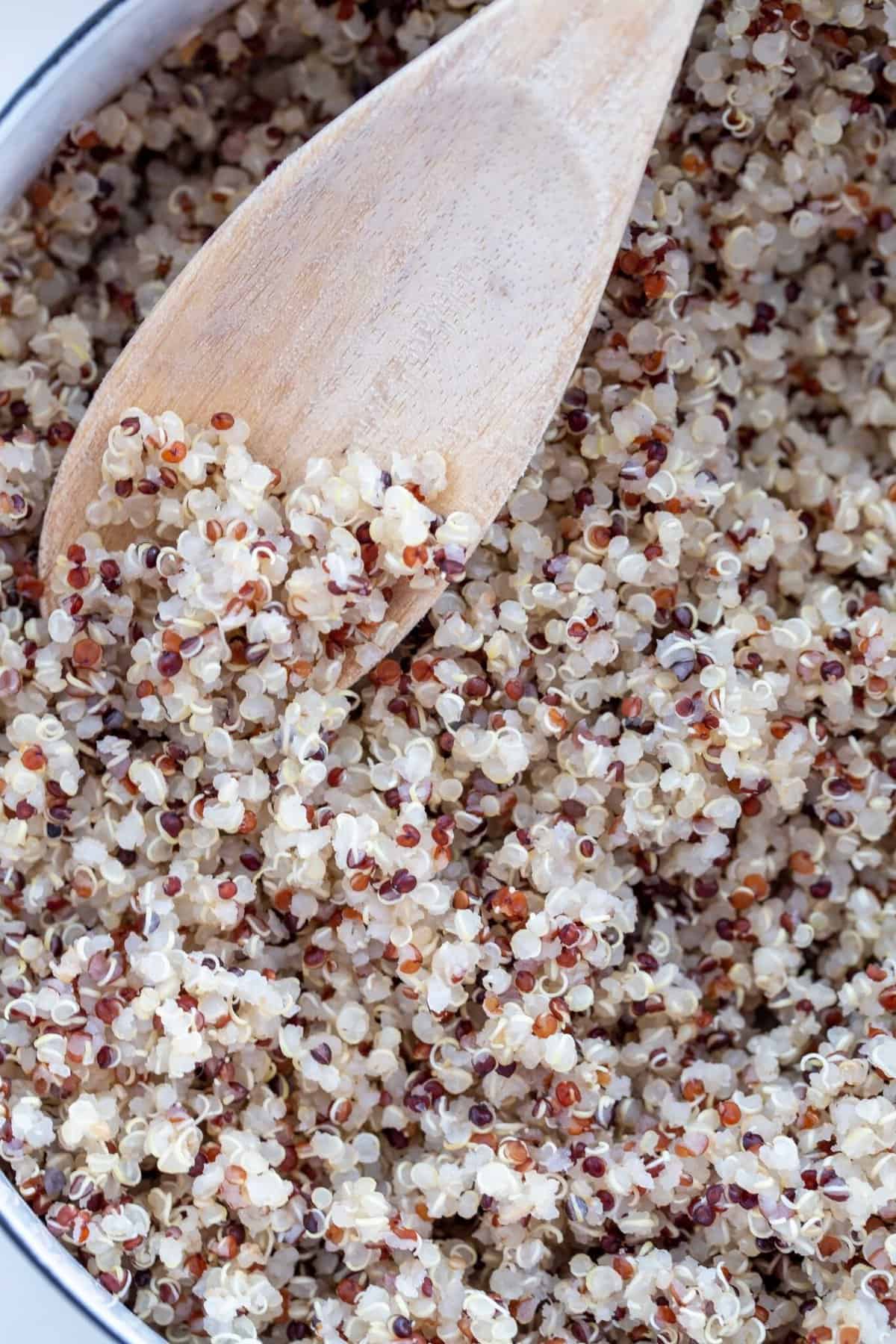 How to Make Quinoa The Harvest Kitchen