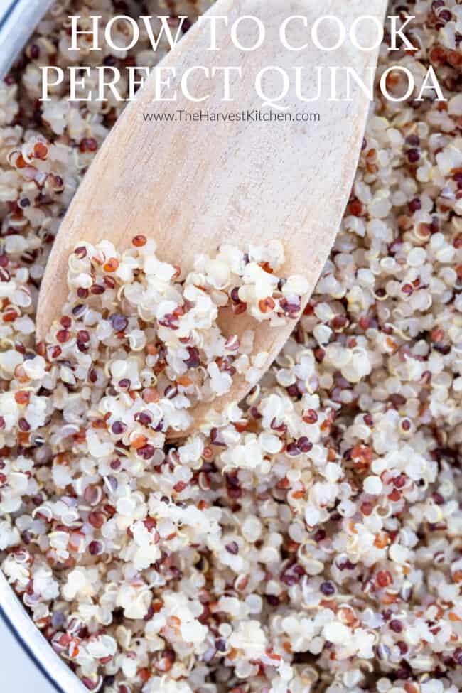 pot of cooked quinoa