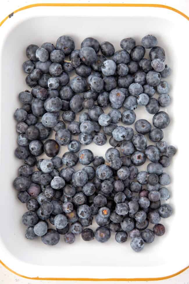 A white enamel pan is filled with blueberries