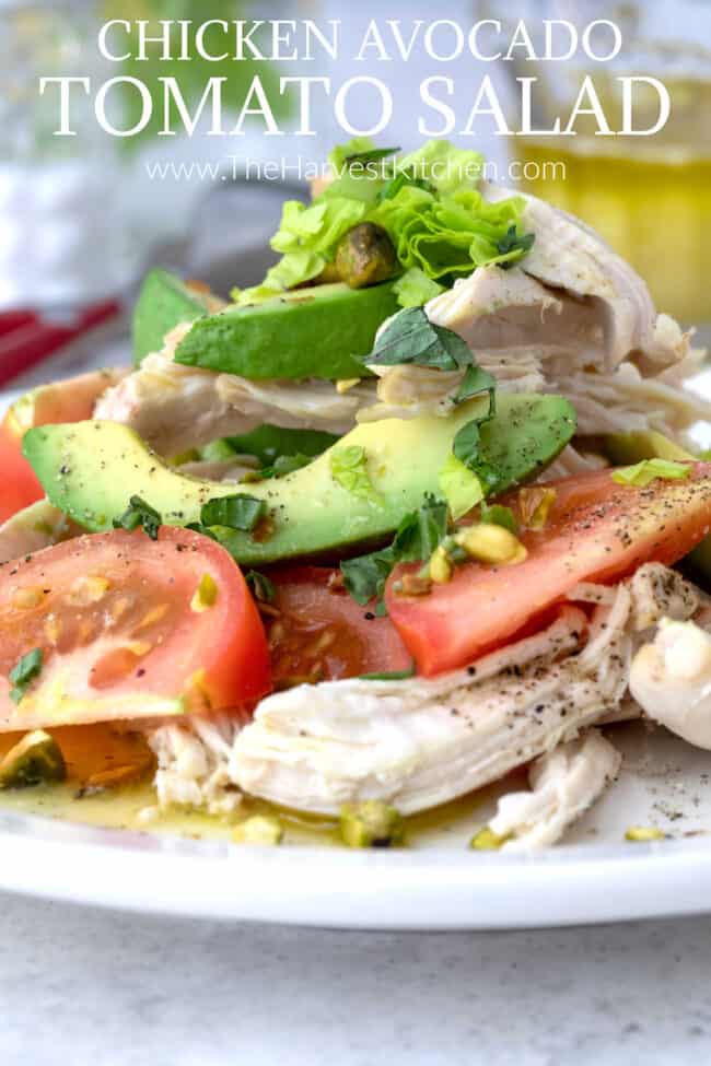 A white plate of avocado tomato salad with chicken.