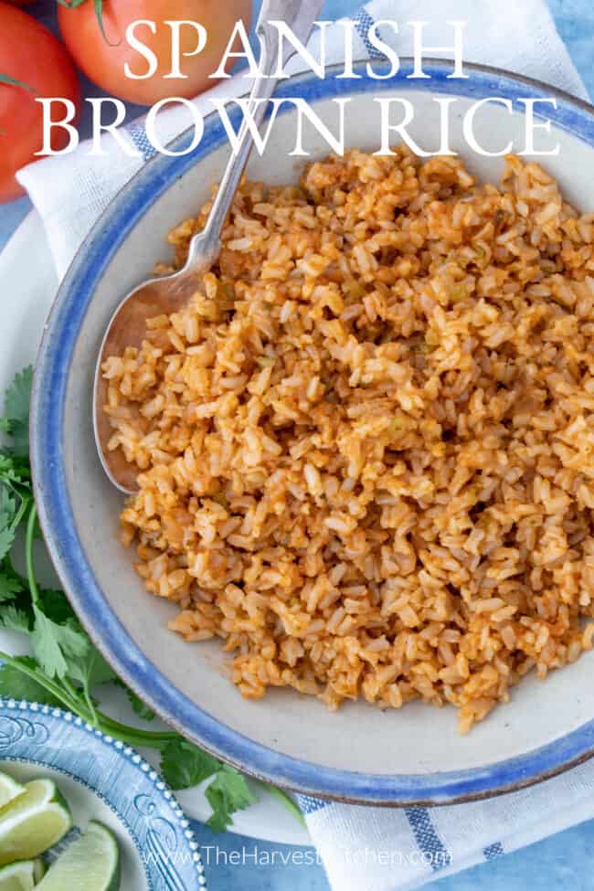 A white bowl of cooked Spanish brown rice.