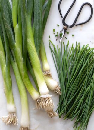 A bunch of green onions and chives sit on a cutting board next to small black scissors.