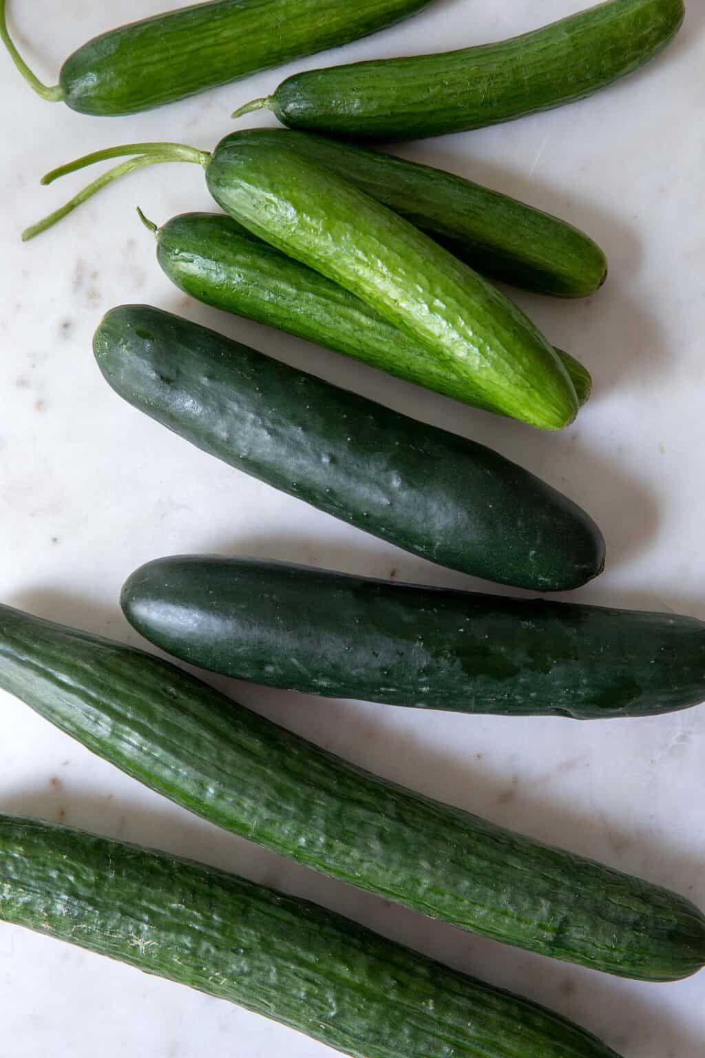Is Cucumber a Fruit The Harvest Kitchen