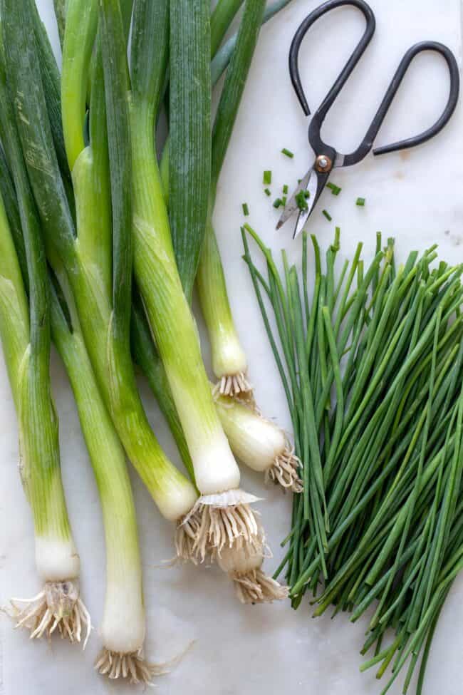 Green onions and chives sit on a marble board with a pair of small black herb scissors.