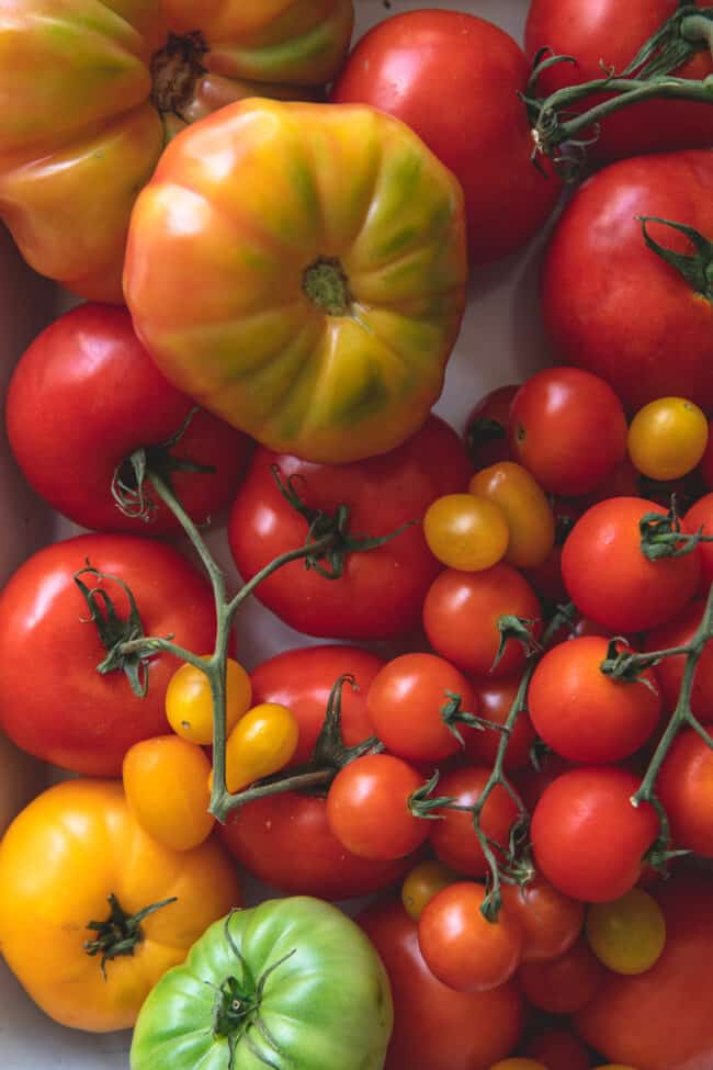 Different types of tomatoes (Roma, cherry vine, green)