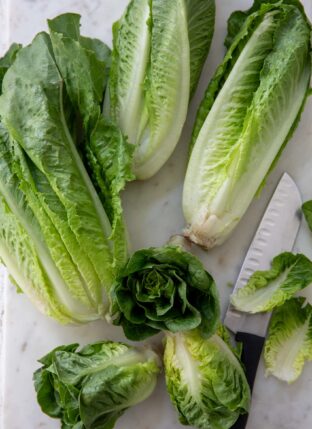 Romaine Lettuce