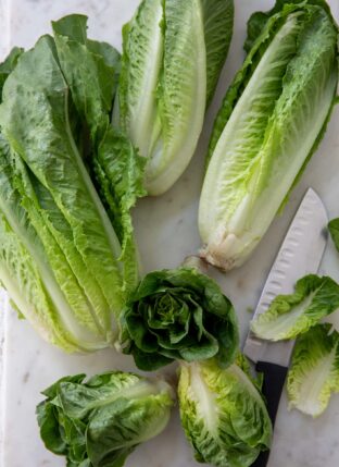 6 heads of Romaine lettuce with a knife sitting next to them