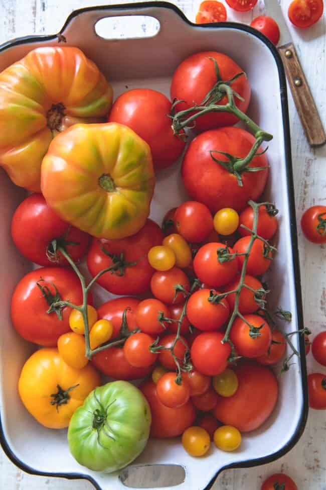 A white tray with different types of tomatoes