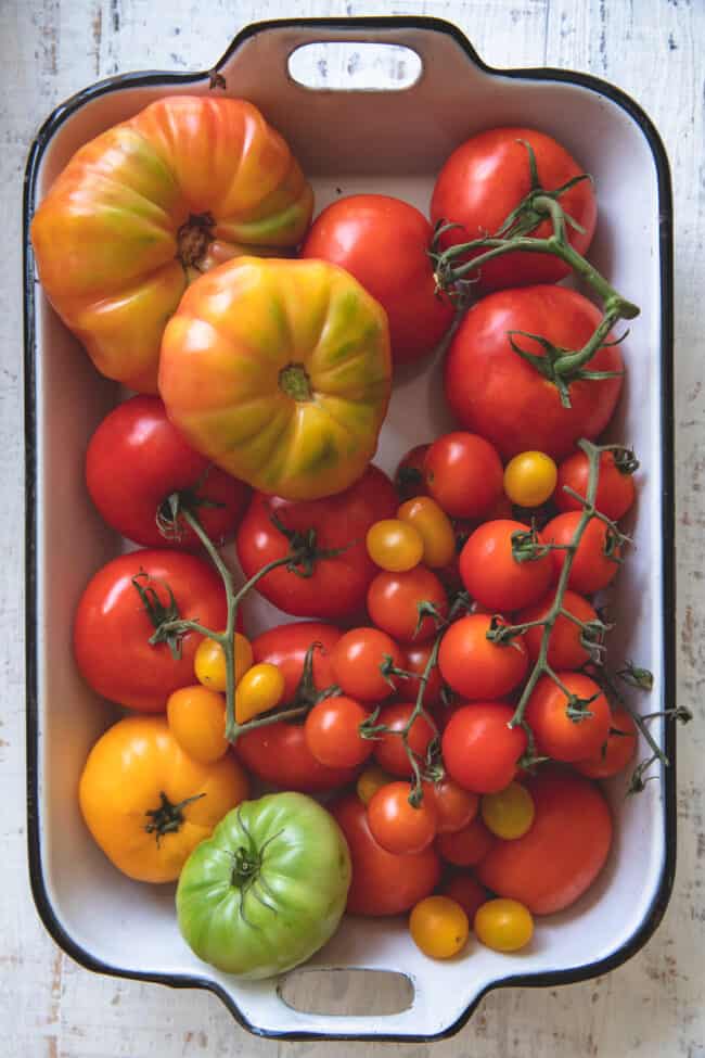 A white tray with a variety of types of tomatoes (heirloom tomatoes and cherry tomatoes)