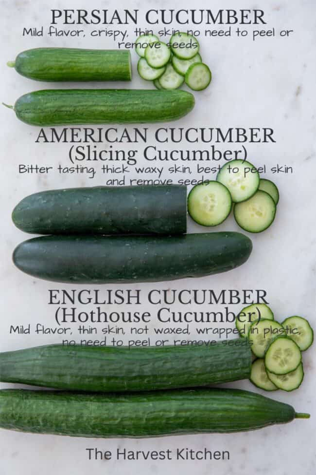 Persian, America and English cucumbers on a cutting board with a brief description of each above the cucumbers.