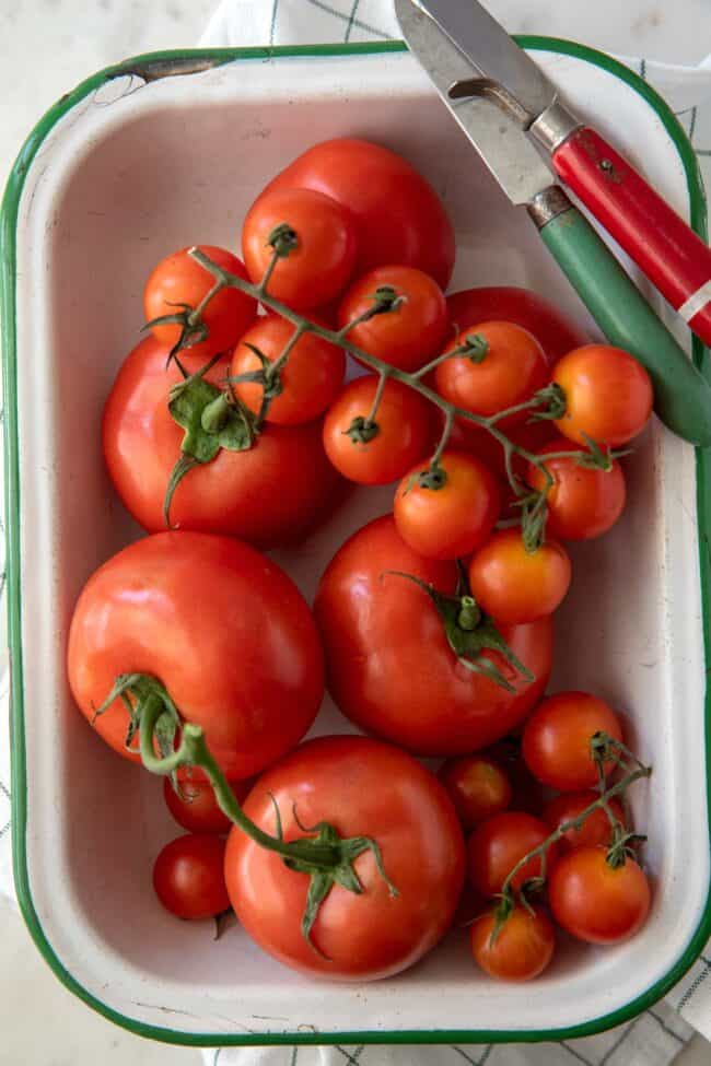 A white rectangle enamel bowl with green trim filled with garden tomatoes and cherry tomatoes. A green handled and red handled paring knife sits on the rim of the bowl.
