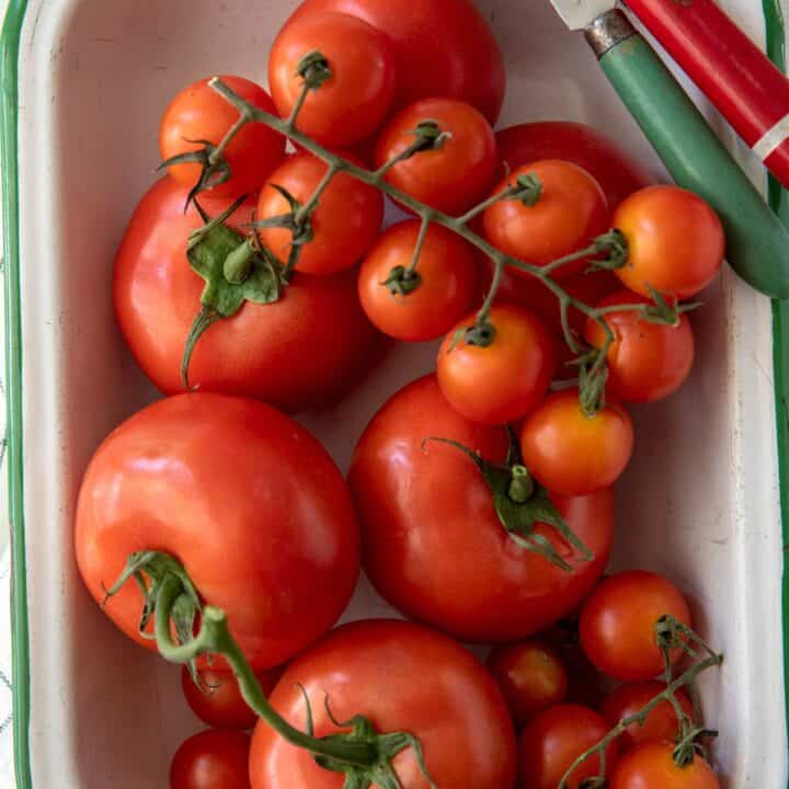 Here are a few easy tips to know about How to Store Tomatoes so they last longer. We'll also answer a few common questions, like should you refrigerate tomatoes? How long do tomatoes last? How long do tomatoes last in the fridge? And can you freeze tomatoes?