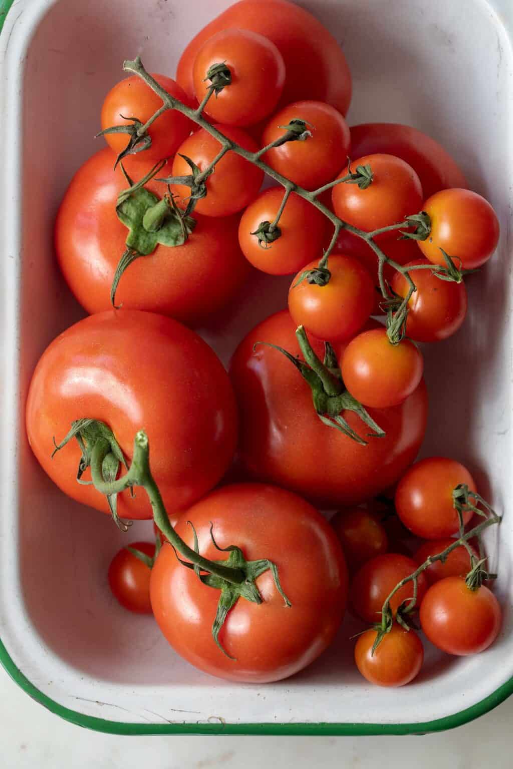 How to Store Tomatoes The Harvest Kitchen
