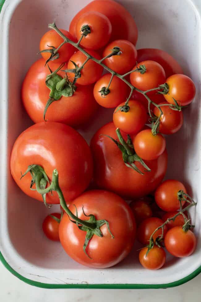A white rectangle enamel bowl with green trim filled with garden tomatoes and cherry tomatoes. A green handled and red handled paring knife sits on the rim of the bowl.