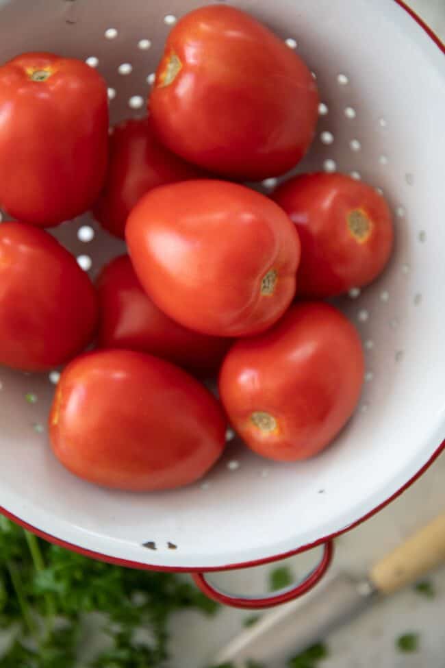 White colander filled with red tomatoes