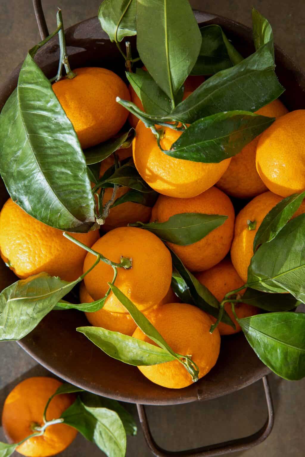 Mandarin Oranges The Harvest Kitchen