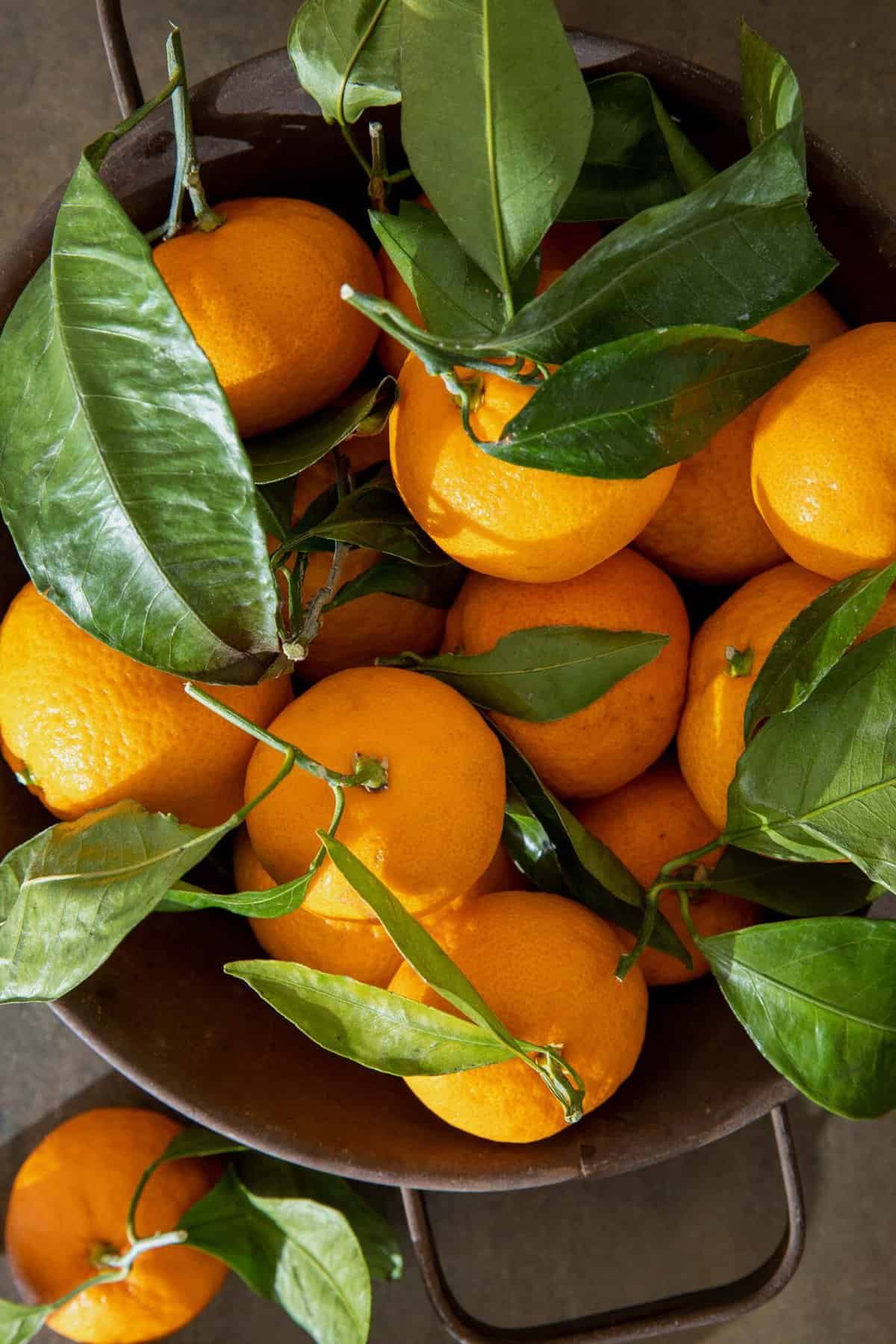 Mandarin Oranges The Harvest Kitchen