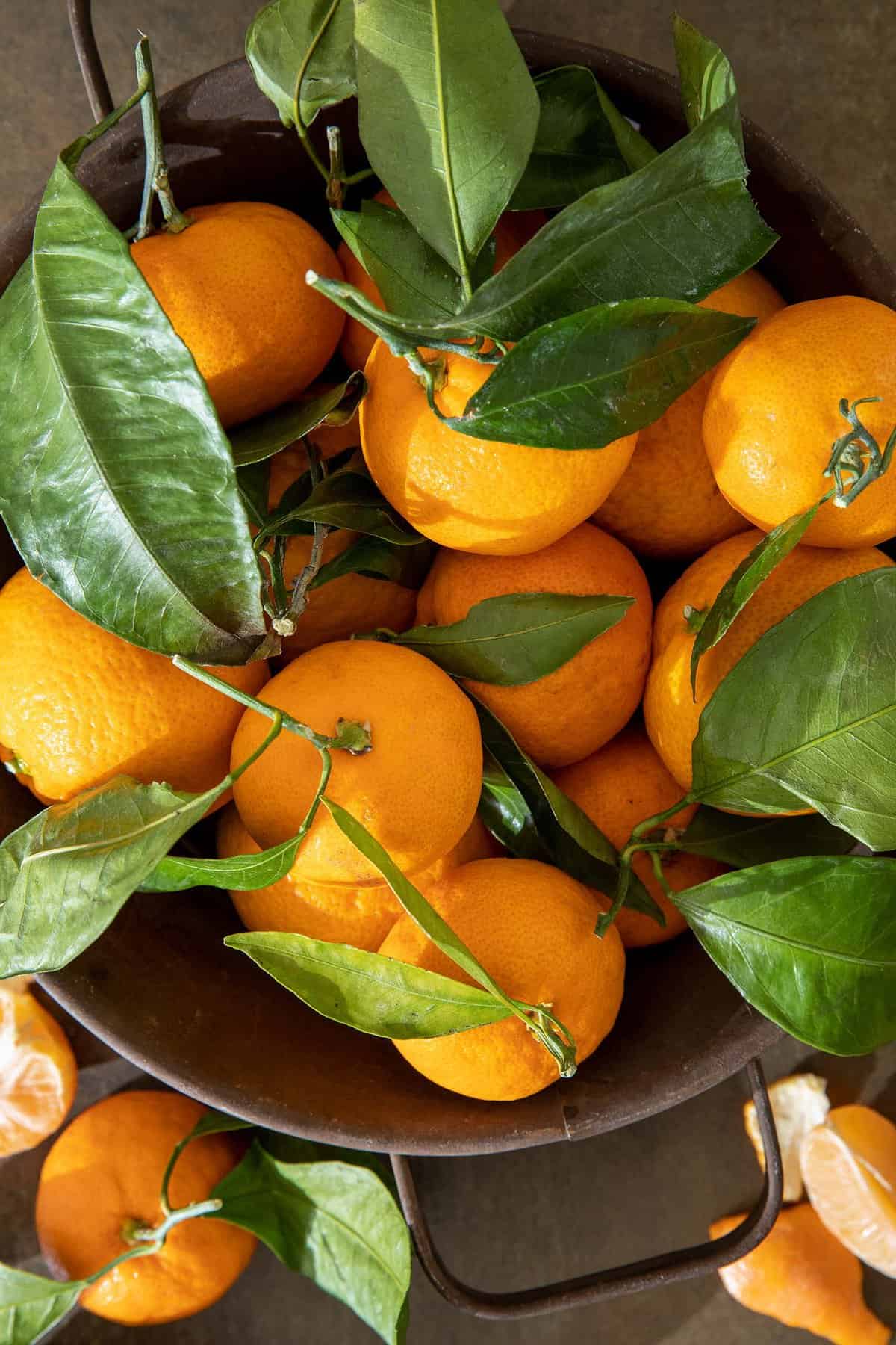 Mandarin Oranges - The Harvest Kitchen