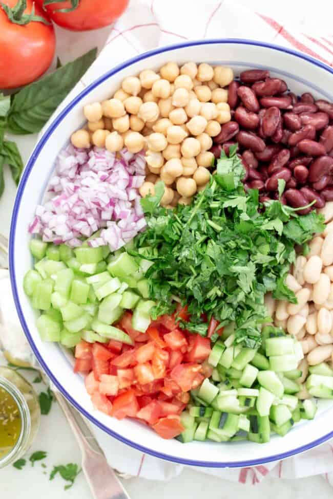 blue and white bowl filled with chopped celery, cucumber, tomatoes, onion, parsley, chickpeas, kidney beans and white beans
