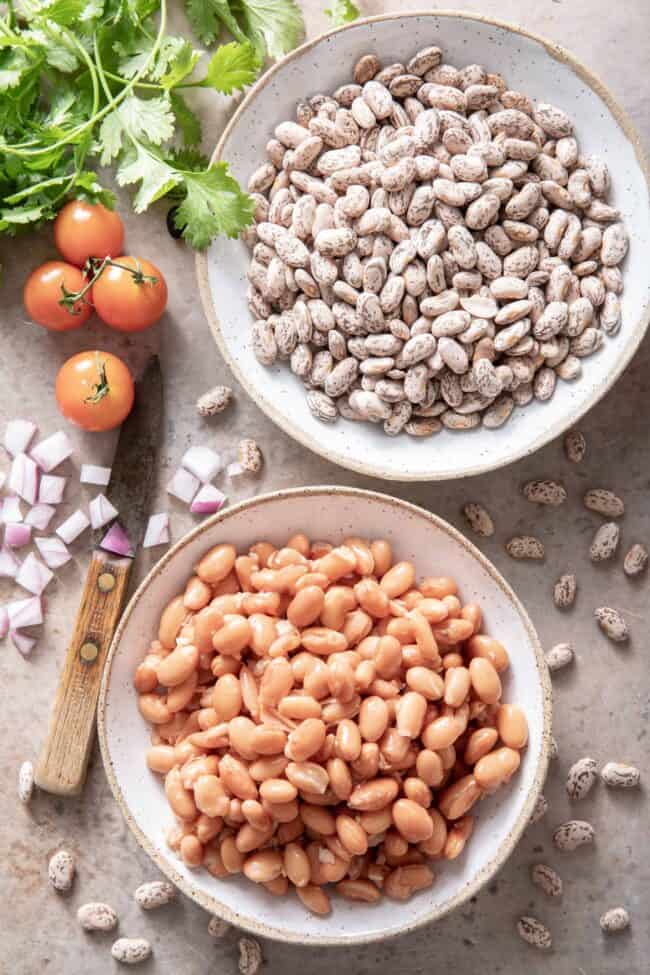 Two bowls of pinto beans. One bowl has cooked beans and one bowl has dried beans.