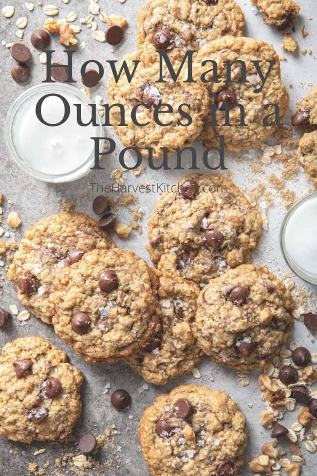How Many Ounces In A Pound The Harvest Kitchen