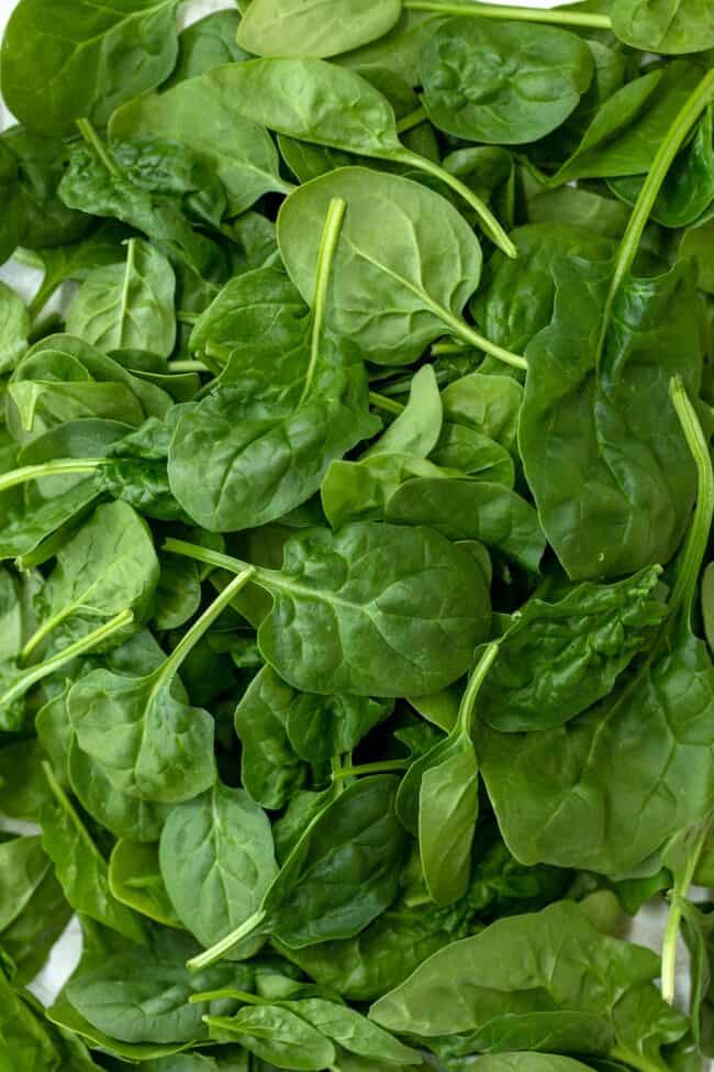 A pile of fresh green baby spinach leaves