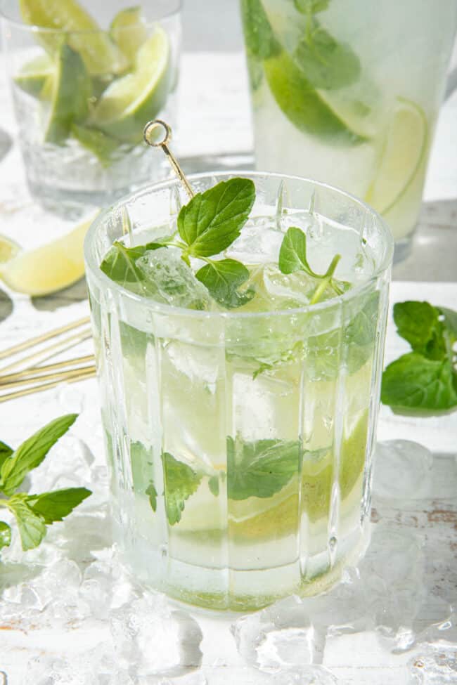 A clear cocktail glass filled with sparkling water, mint leaves and lime wedges.