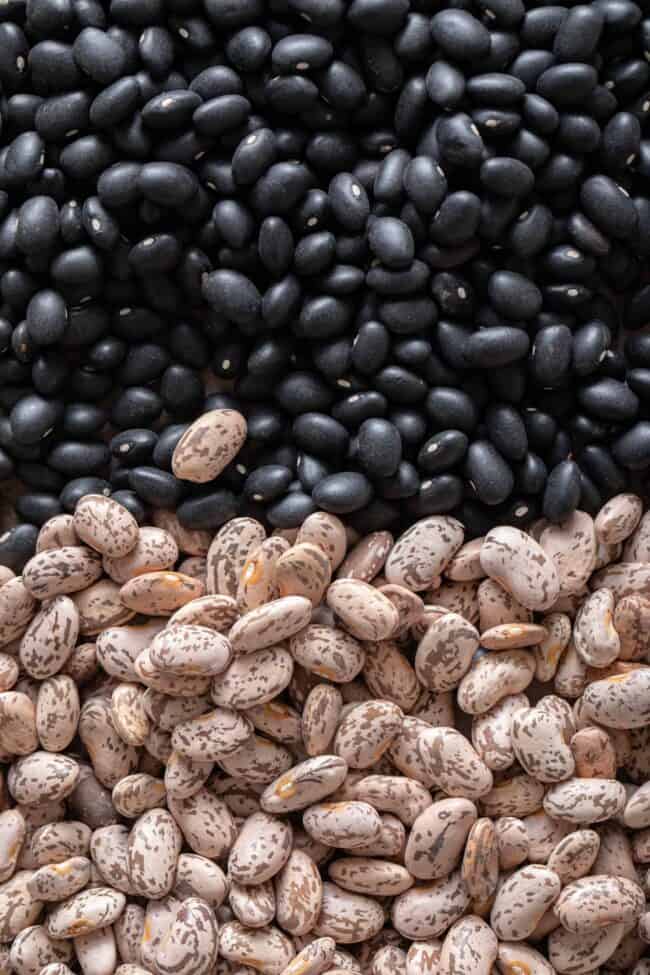 A pile of black beans sits next to a pile of pinto beans for black beans vs pinto beans.