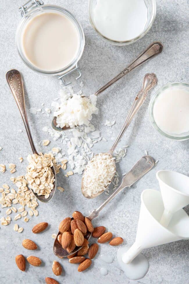 4 spoons filled with oats, almonds, rice and shredded coconut sit next to jars filled with almond milk, oat milk and coconut milk