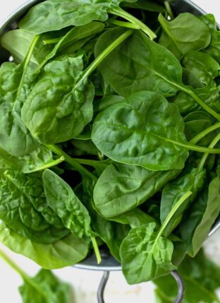 A metal colander filled with baby spinach leaves