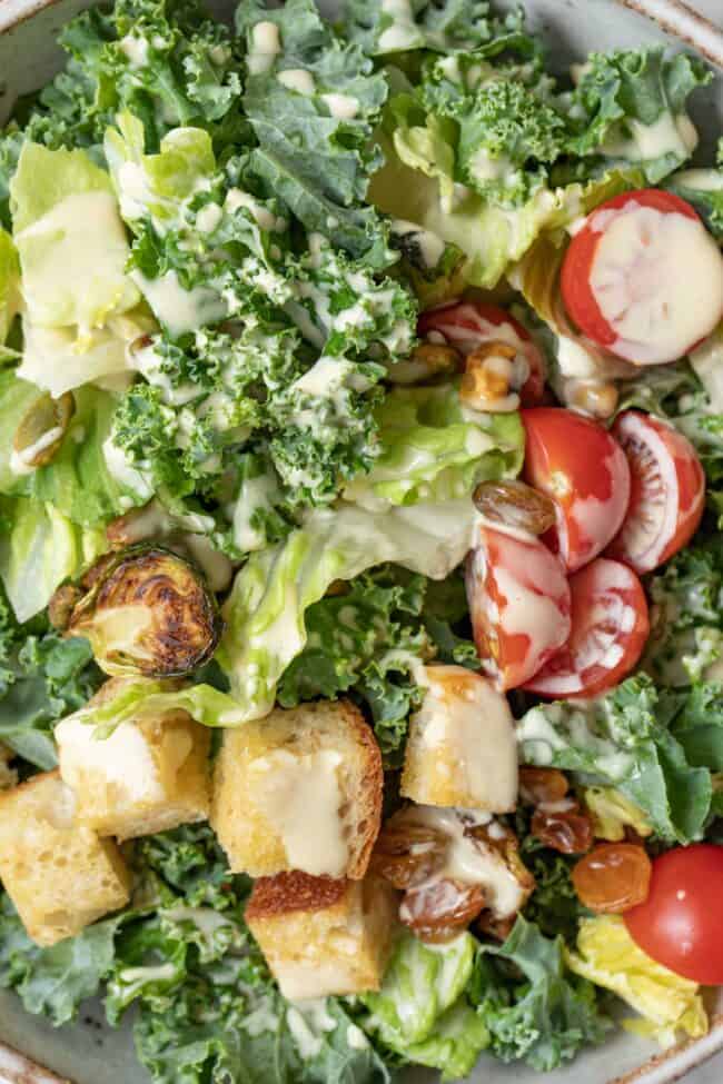 A bowl filled with chopped curly kale and Romaine lettuce, croutons, cherry tomatoes, golden raisins, brussels sprouts and pistachios.