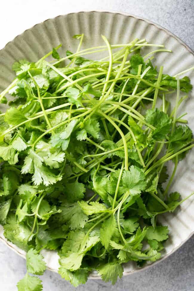 A gray plate filled with green herbs.