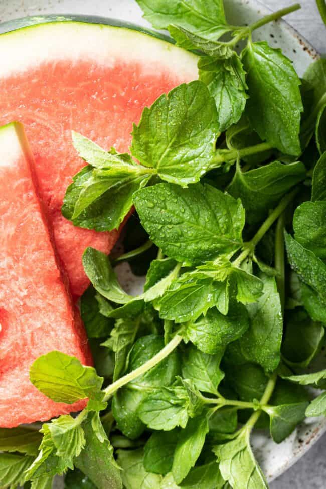 Watermelon slices and a bunch of mint sit on a plate.