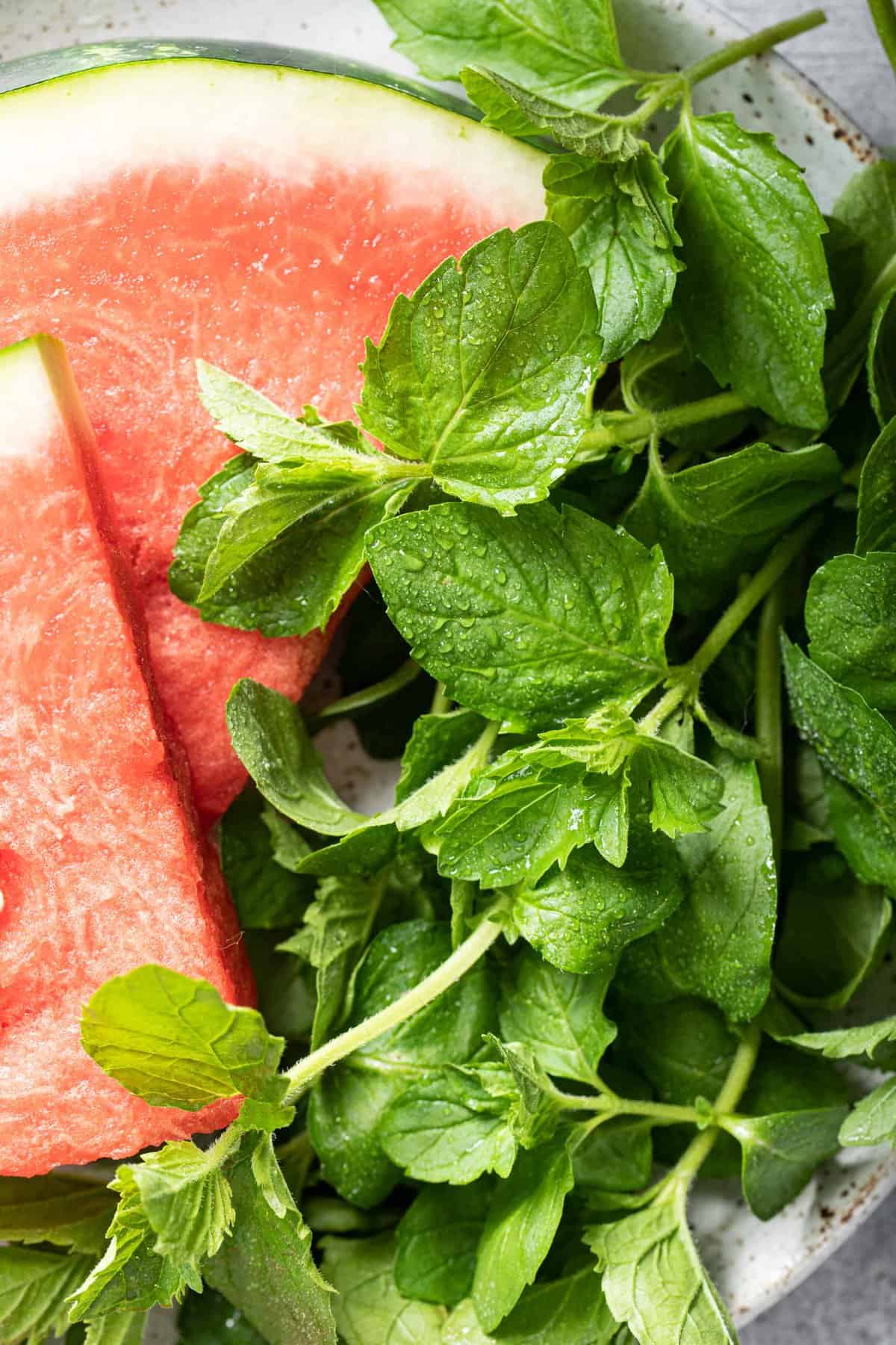 Mint Substitute The Harvest Kitchen