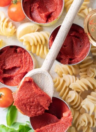 Need a Tomato Paste Substitute for a recipe? Here's everything you need to know about what's the best substitute for tomato paste, how to use tomato paste and what to do with the leftovers. 