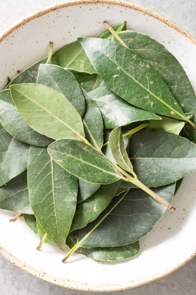 A white bowl filled with fresh bay leaves.