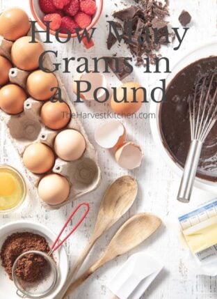 How Many Grams in a Pound
