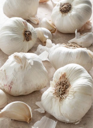 Several heads and cloves of garlic on a brown countertop.