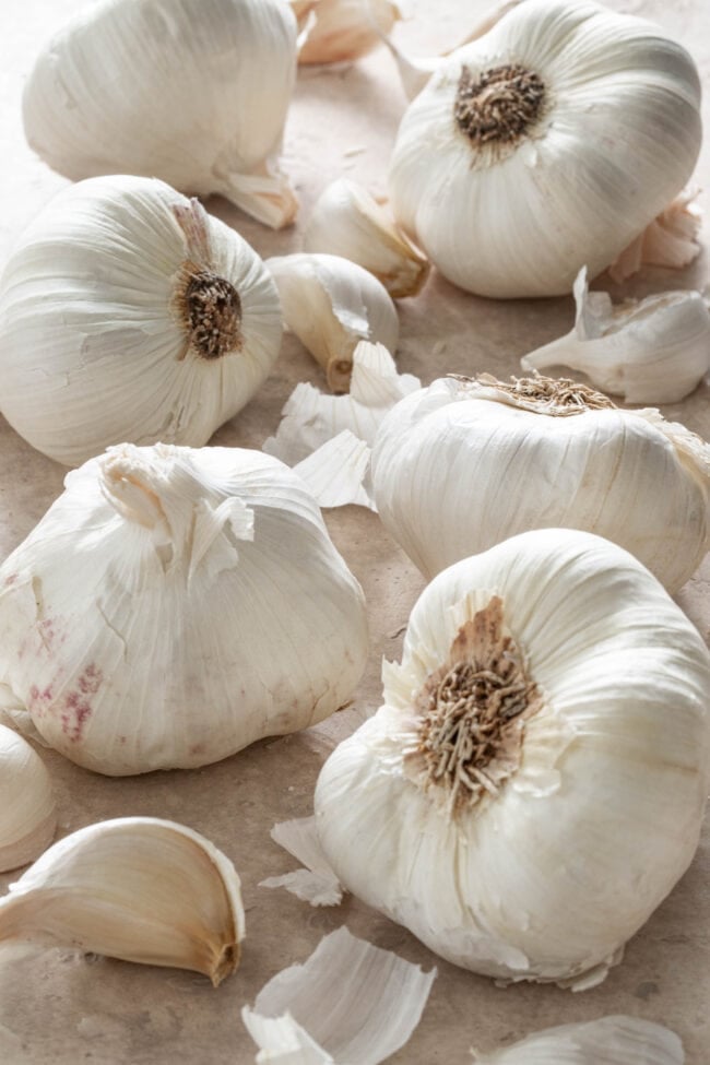 Several heads and cloves of garlic on a brown countertop.