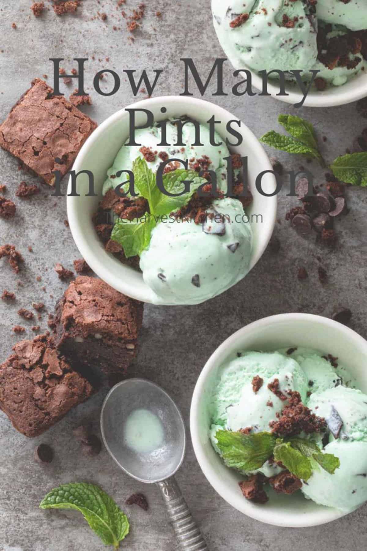 How Many Pints in a Gallon The Harvest Kitchen